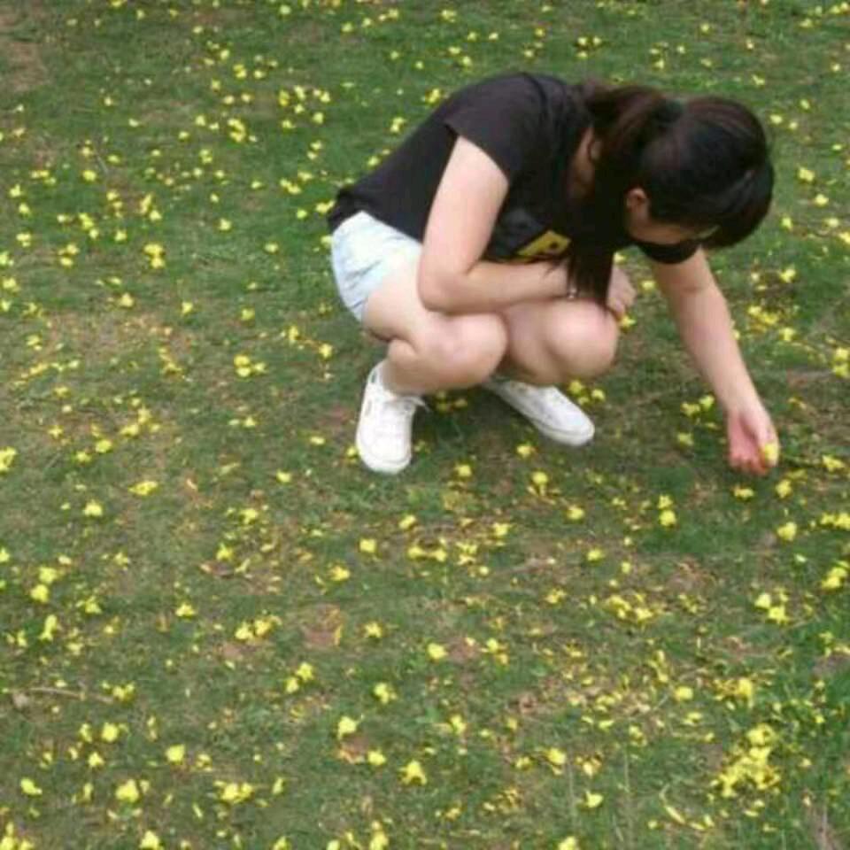 太阳雨