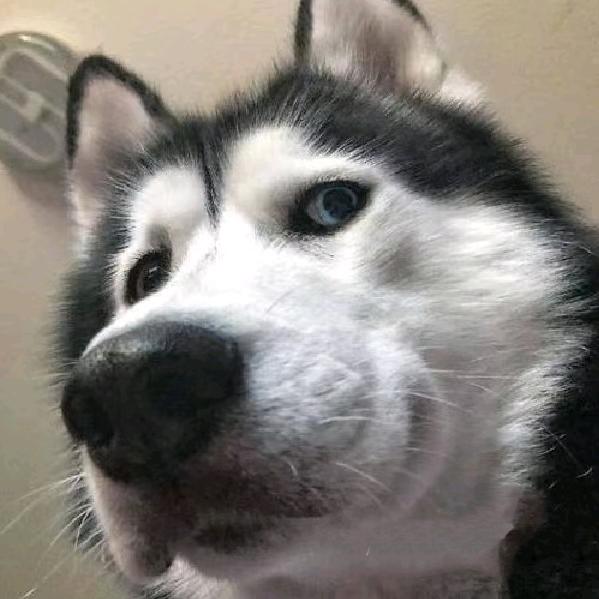 发生甚么事了