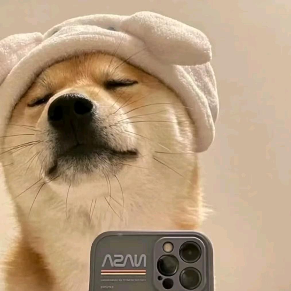 蛋蛋