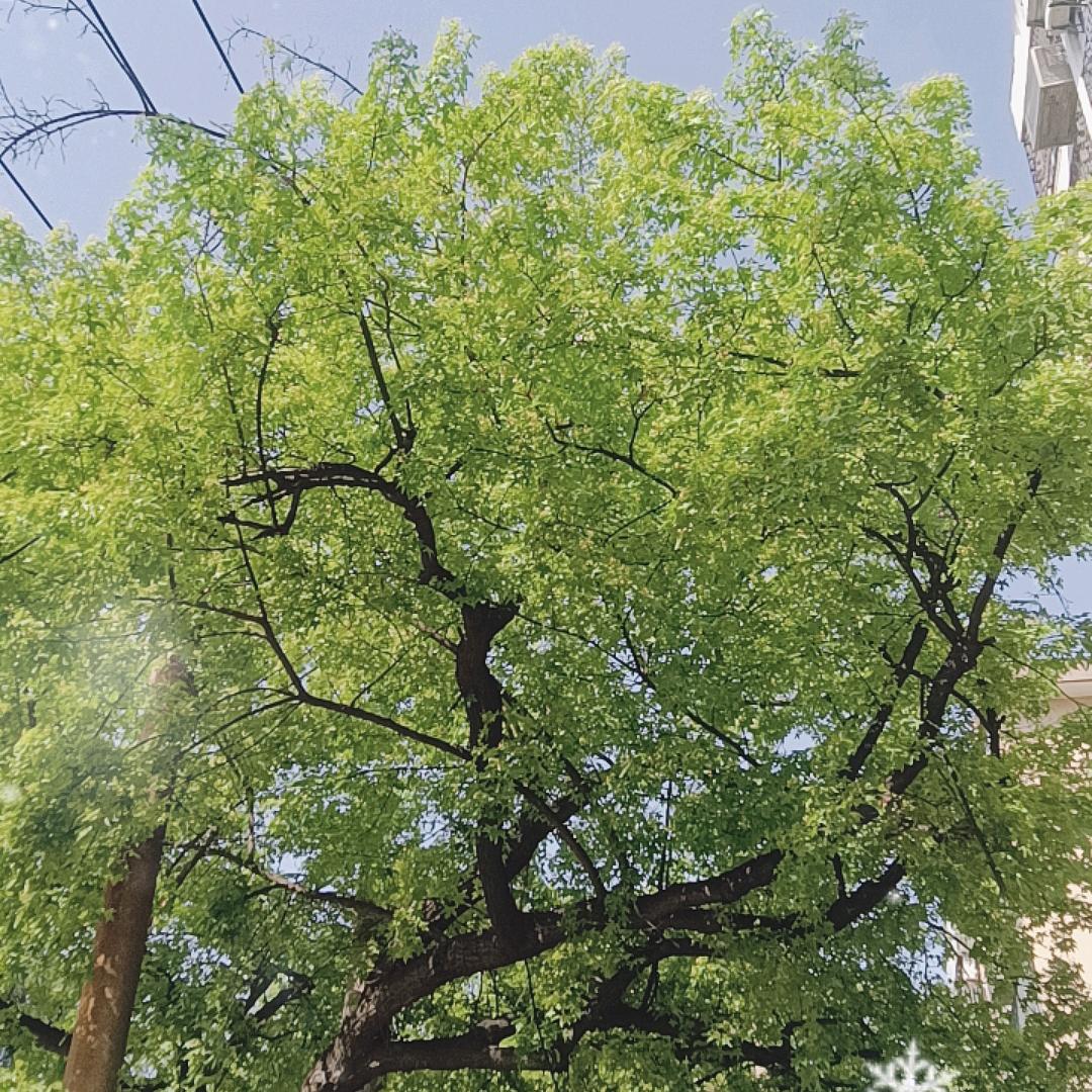 三秦出租