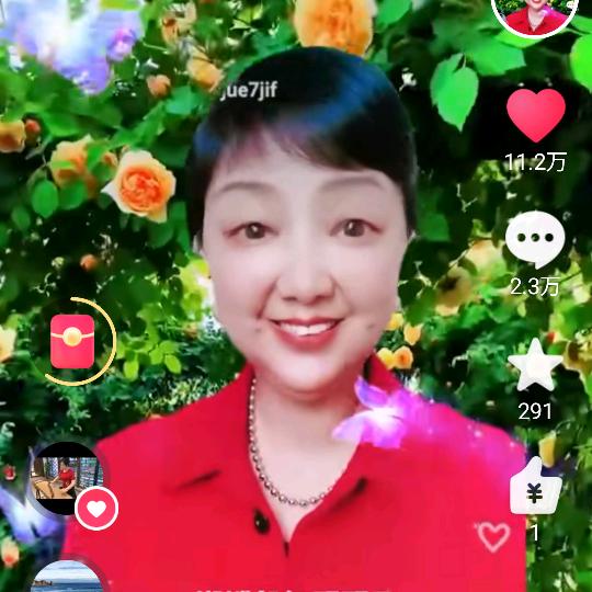 张姐农资A