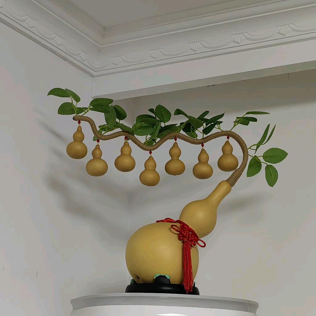 🏍90后小哥哥🏍