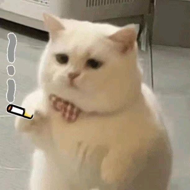 ฅ胖达的神秘商铺 ྀི