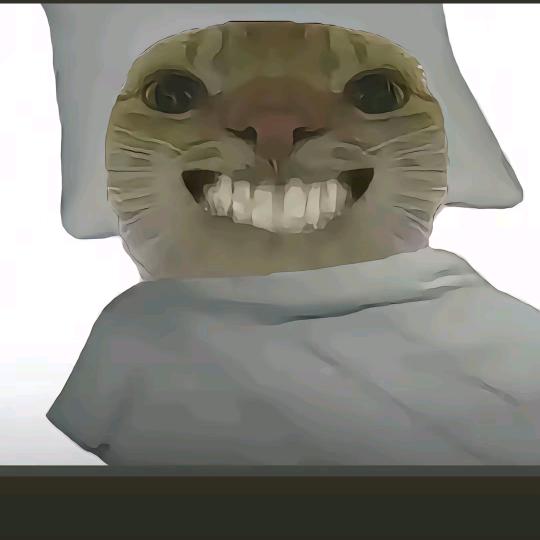 洲完瓦瓦完洲
