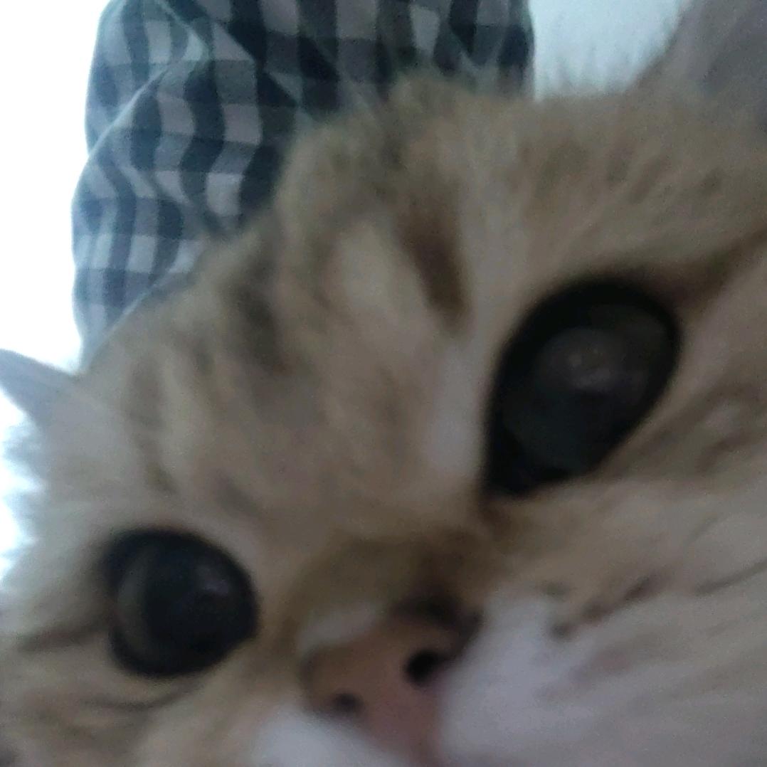 彤彤彤彤彤