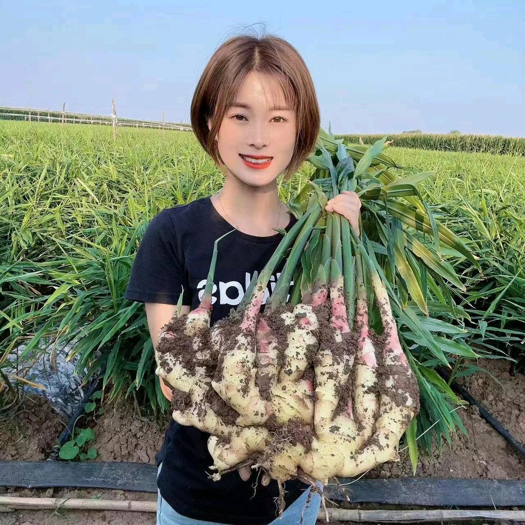 最美大姜企业店花儿