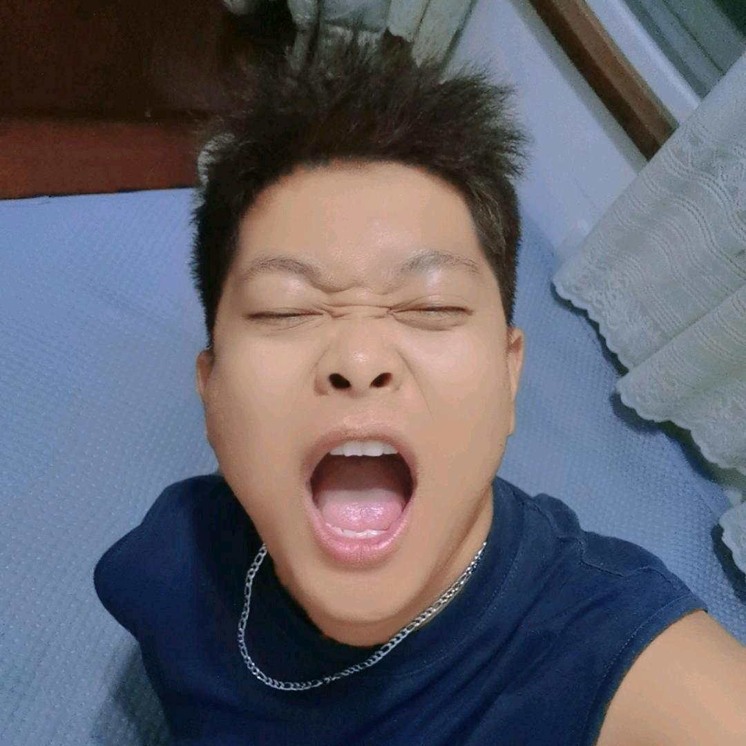 一个小杨导