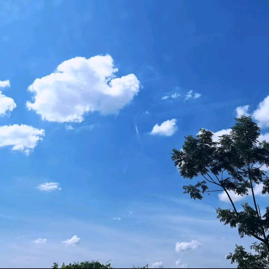 青春畅想队
