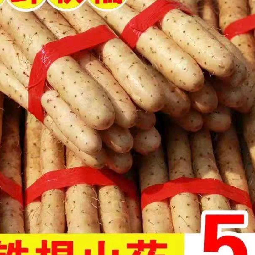 小旭山药