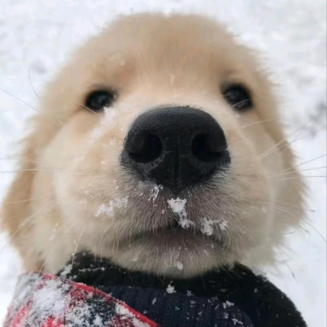 亦泽爱闹人