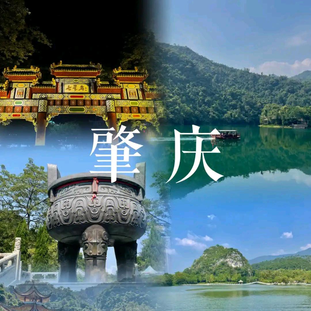 肇庆睇真d