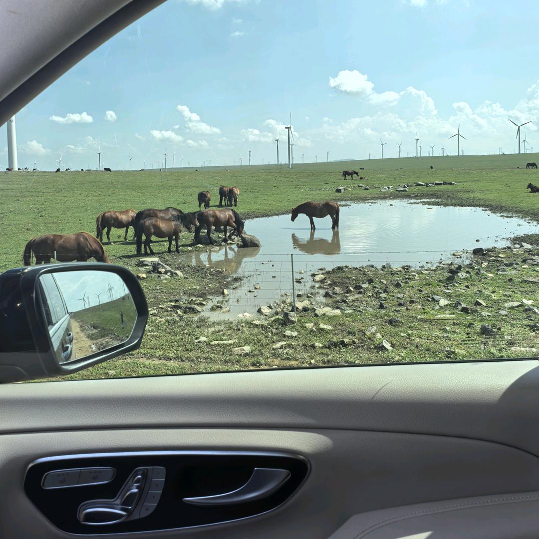 -云舒（回收各种台球器材）