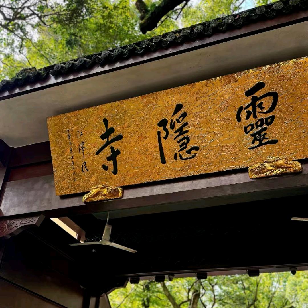 胖崽