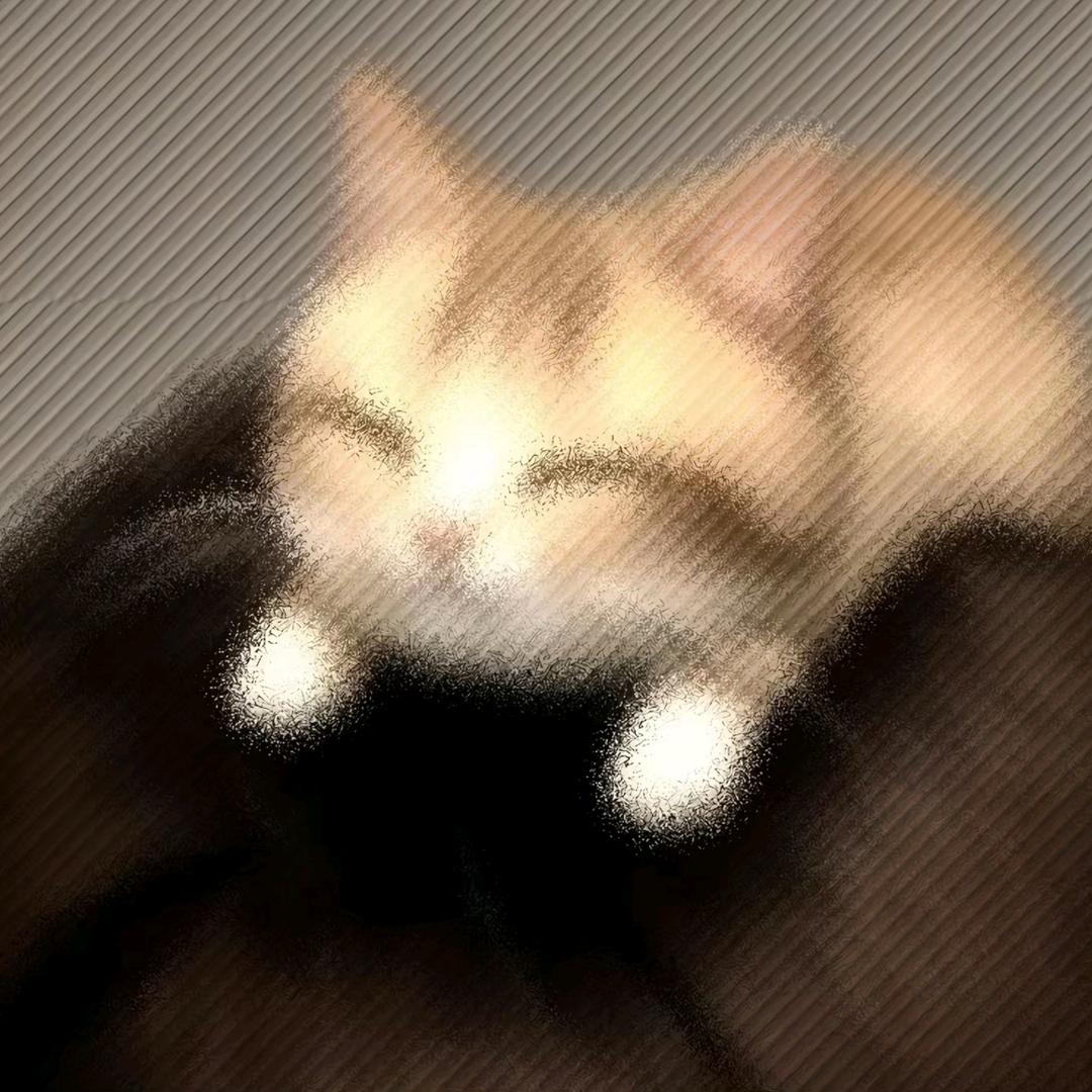 煬