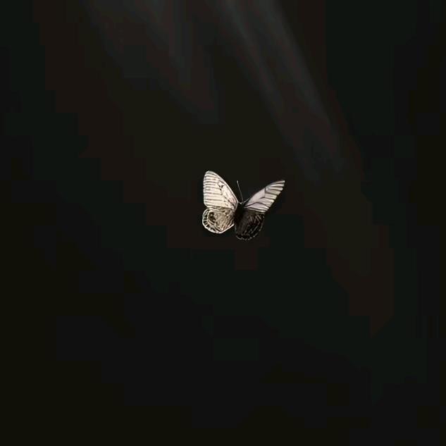 ꧔ꦿ᭄万万ℒღ