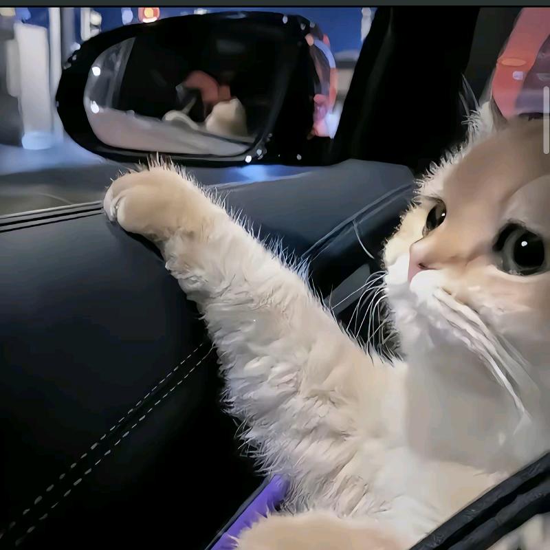 松松（三角洲）