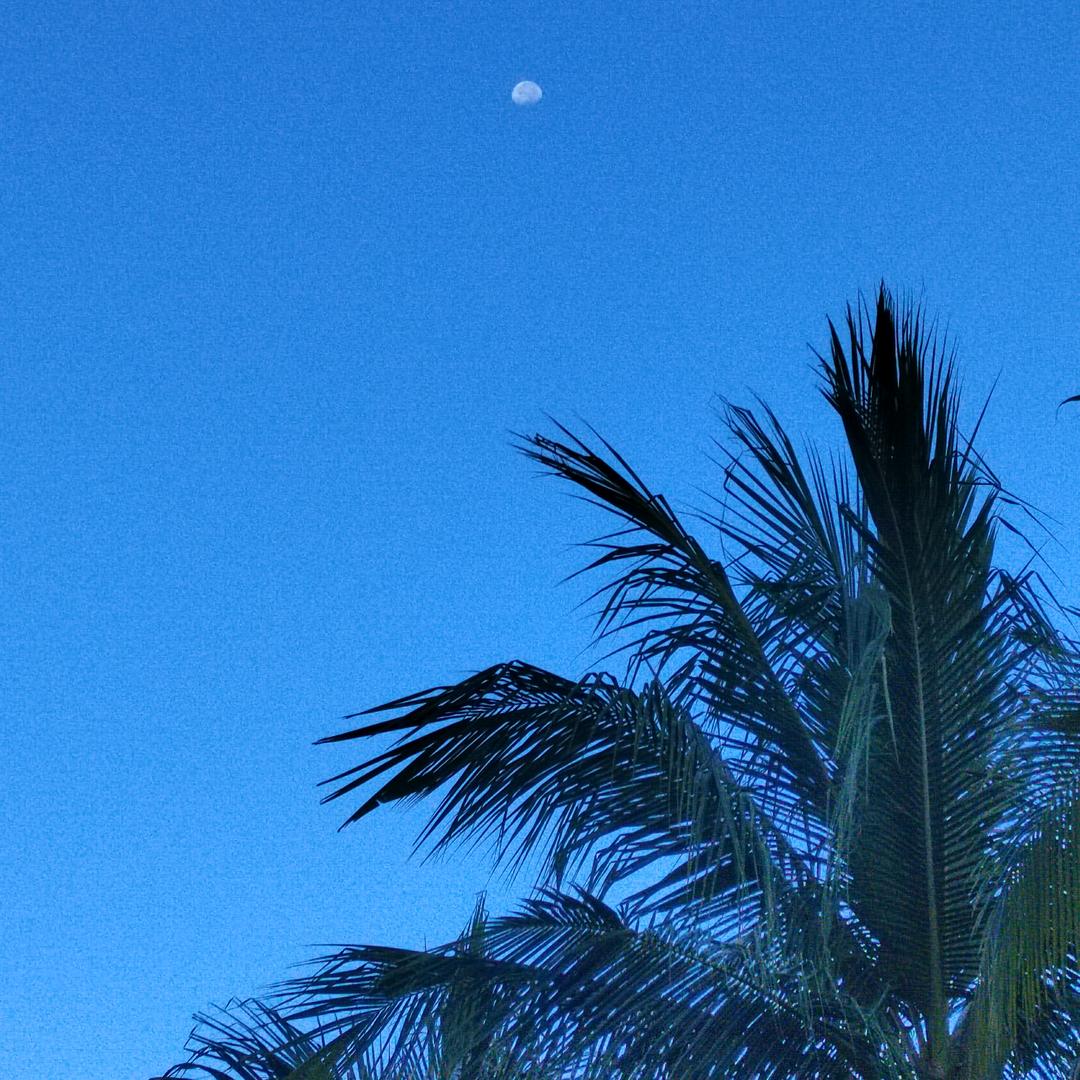 博哥在海南看房