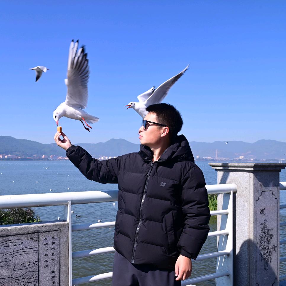 车利安二手车（刘）