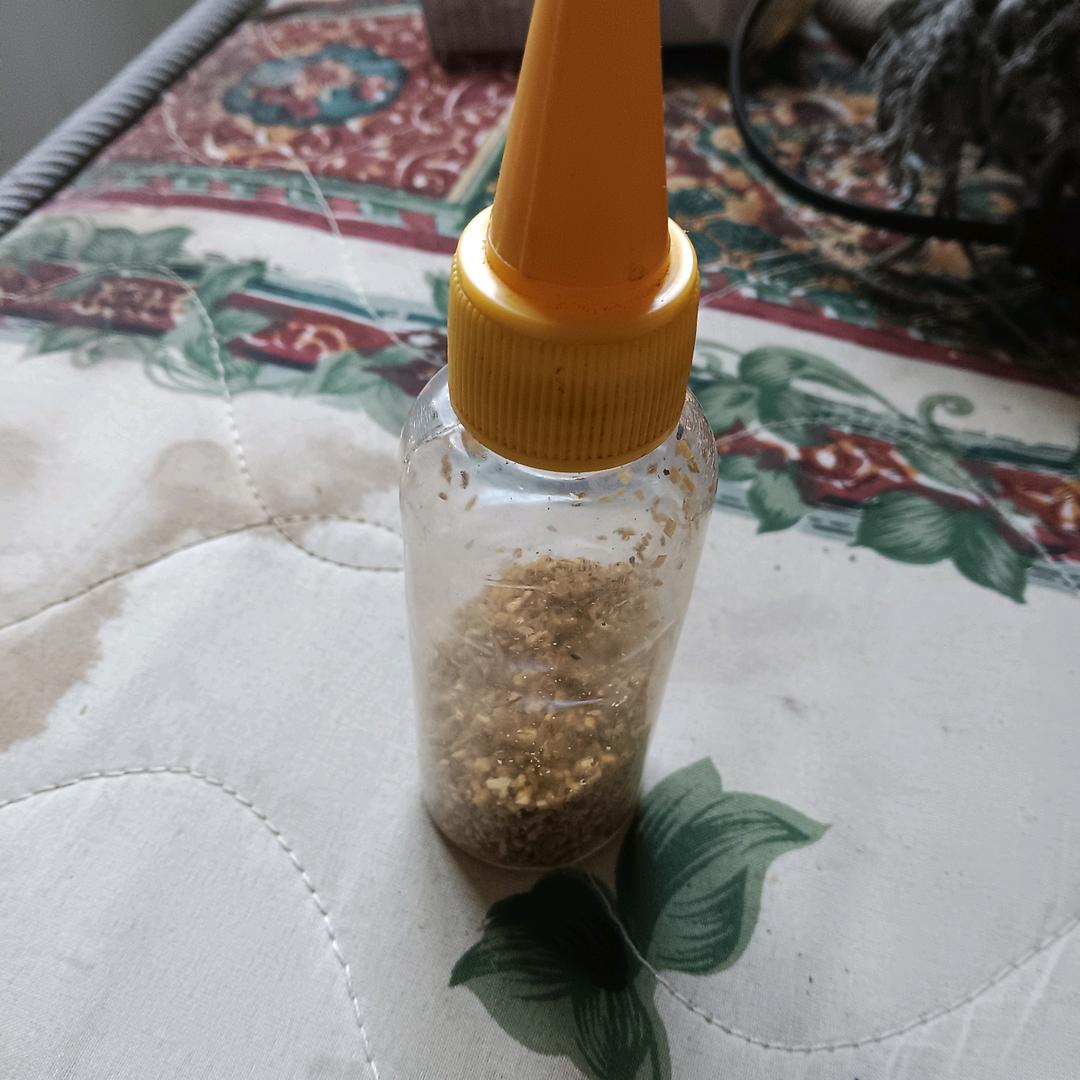 新疆小努