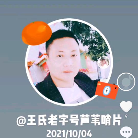 王氏芦苇哨片