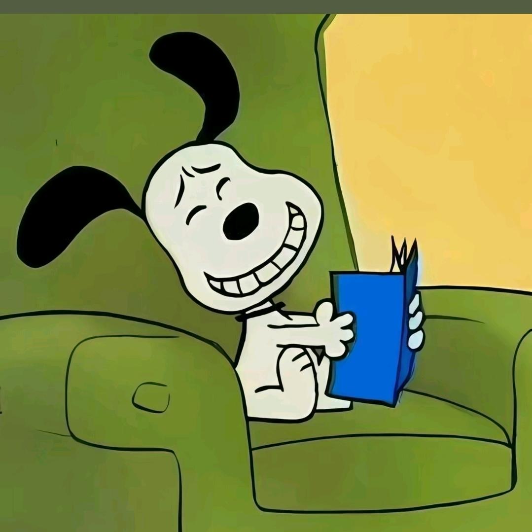 爱吃番茄炒蛋🍅