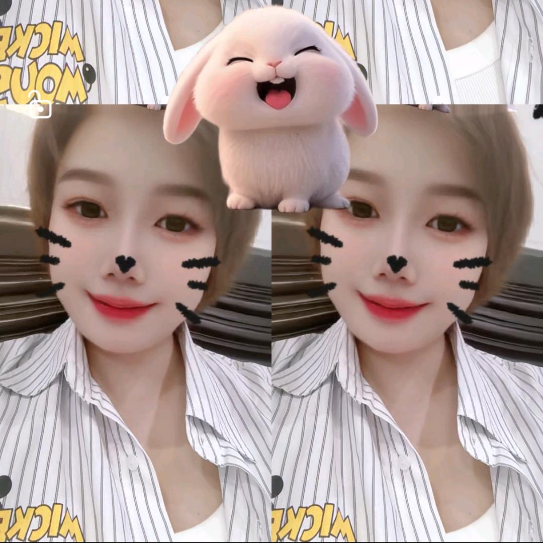✨✨潮汕蛋蛋