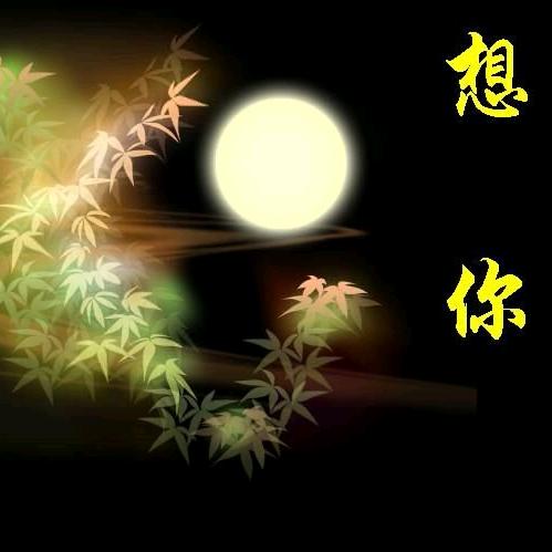 我心依然
