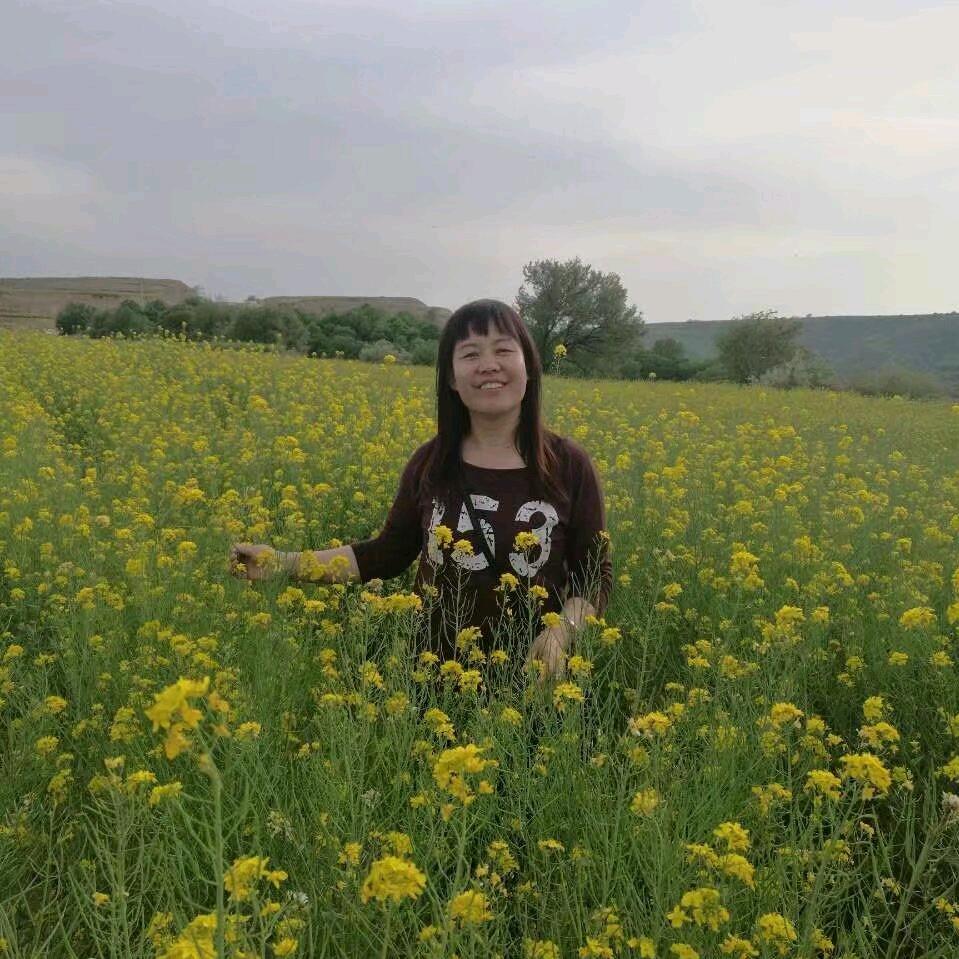看春暖花开