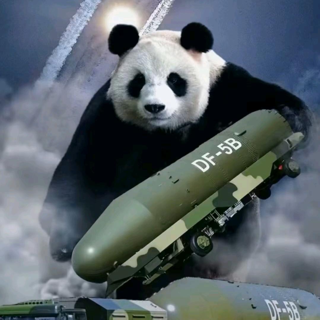 吹风的蚕蛹