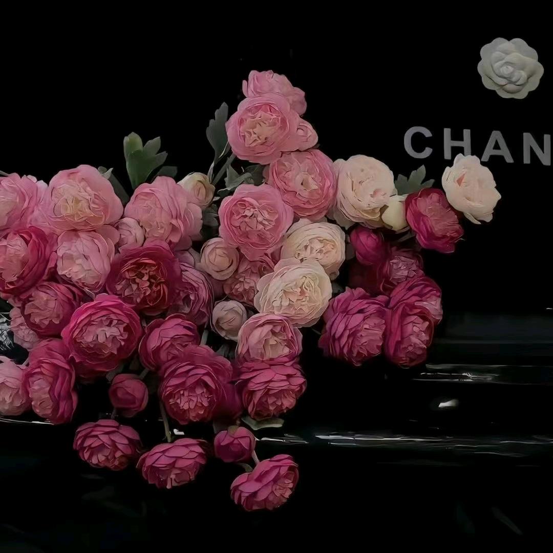 ₅²⁰半颗🍀糖᭄এ