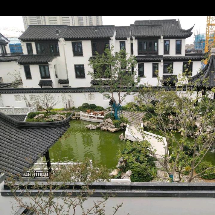 就当我是个傻子。