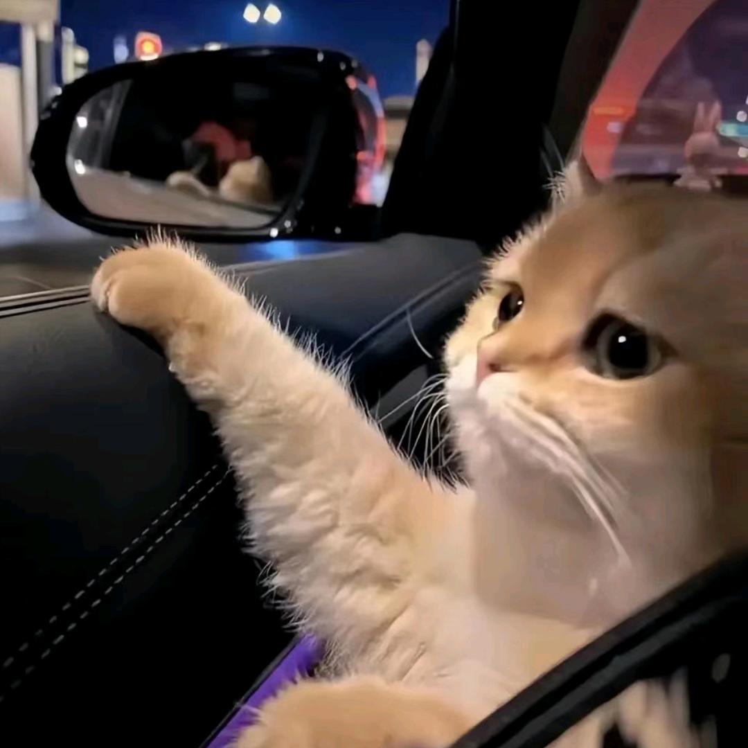 427