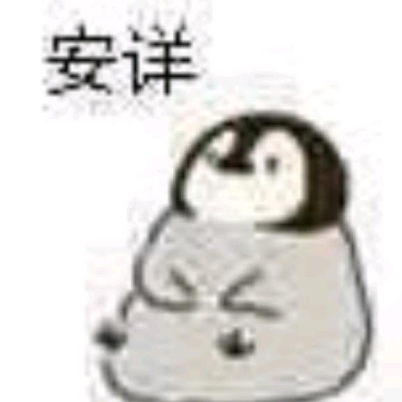 游走·山水间🐱