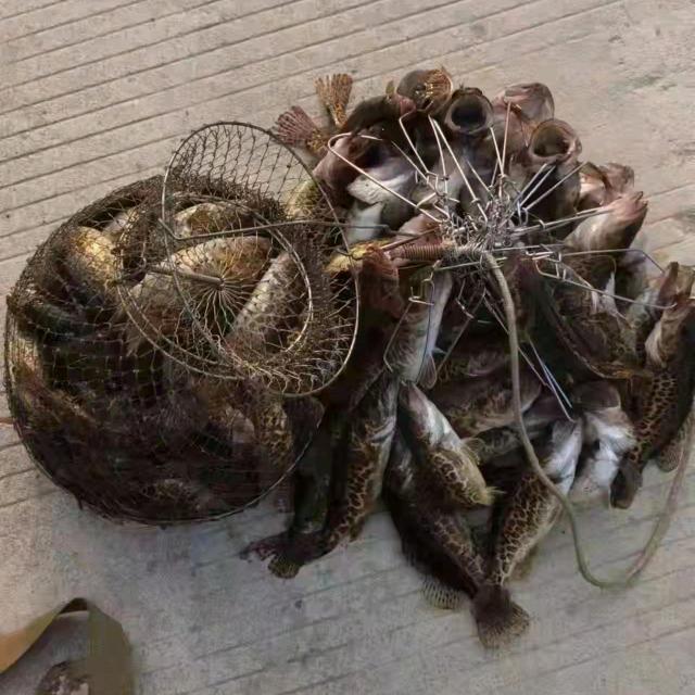 青春不再见