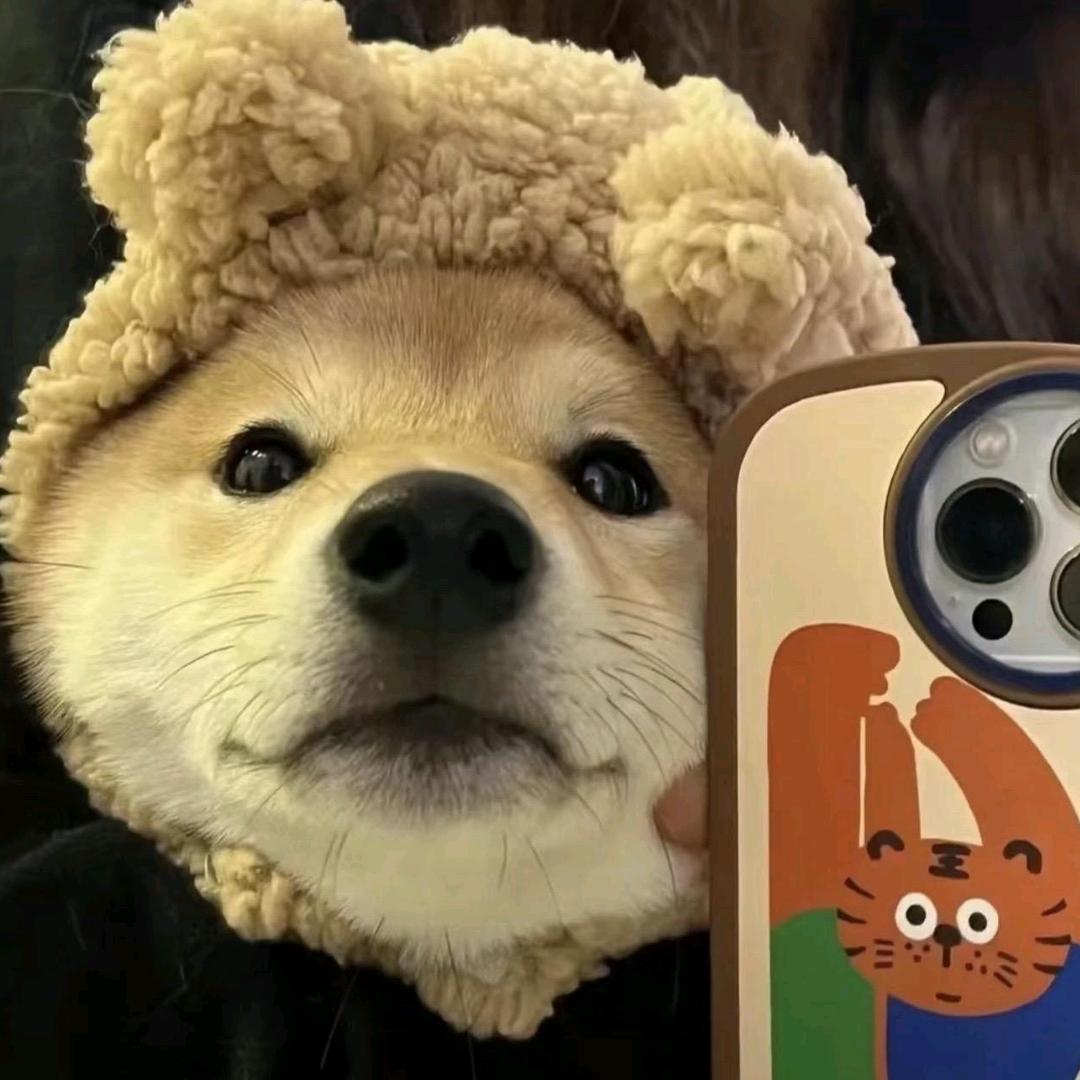 忆安尘