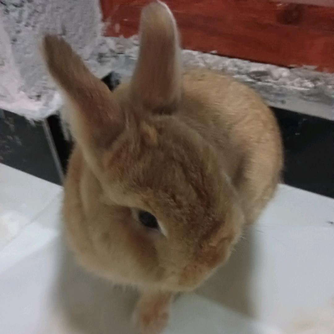 好🍒运🍒