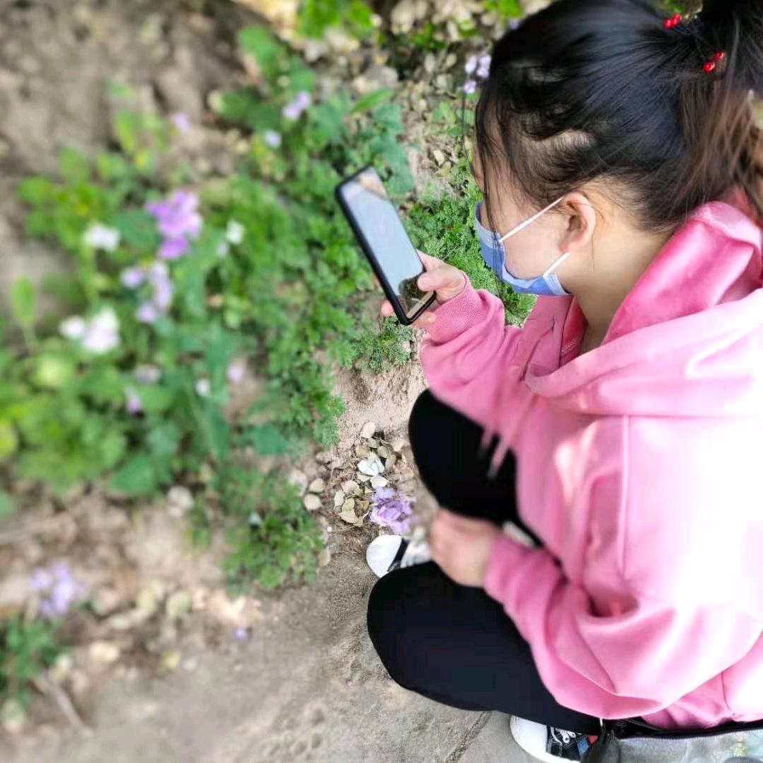 师来有晴天