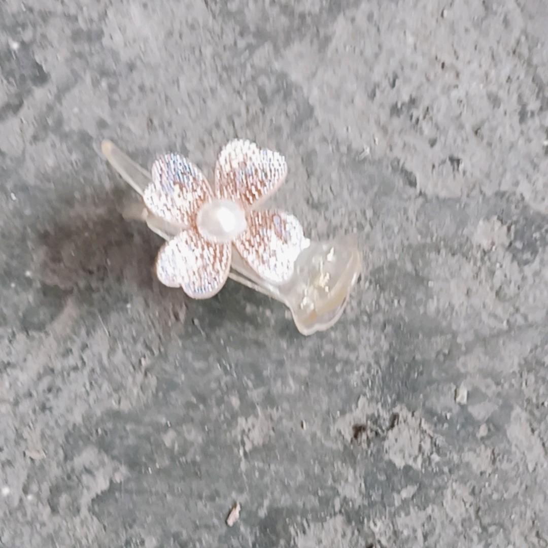潘小英