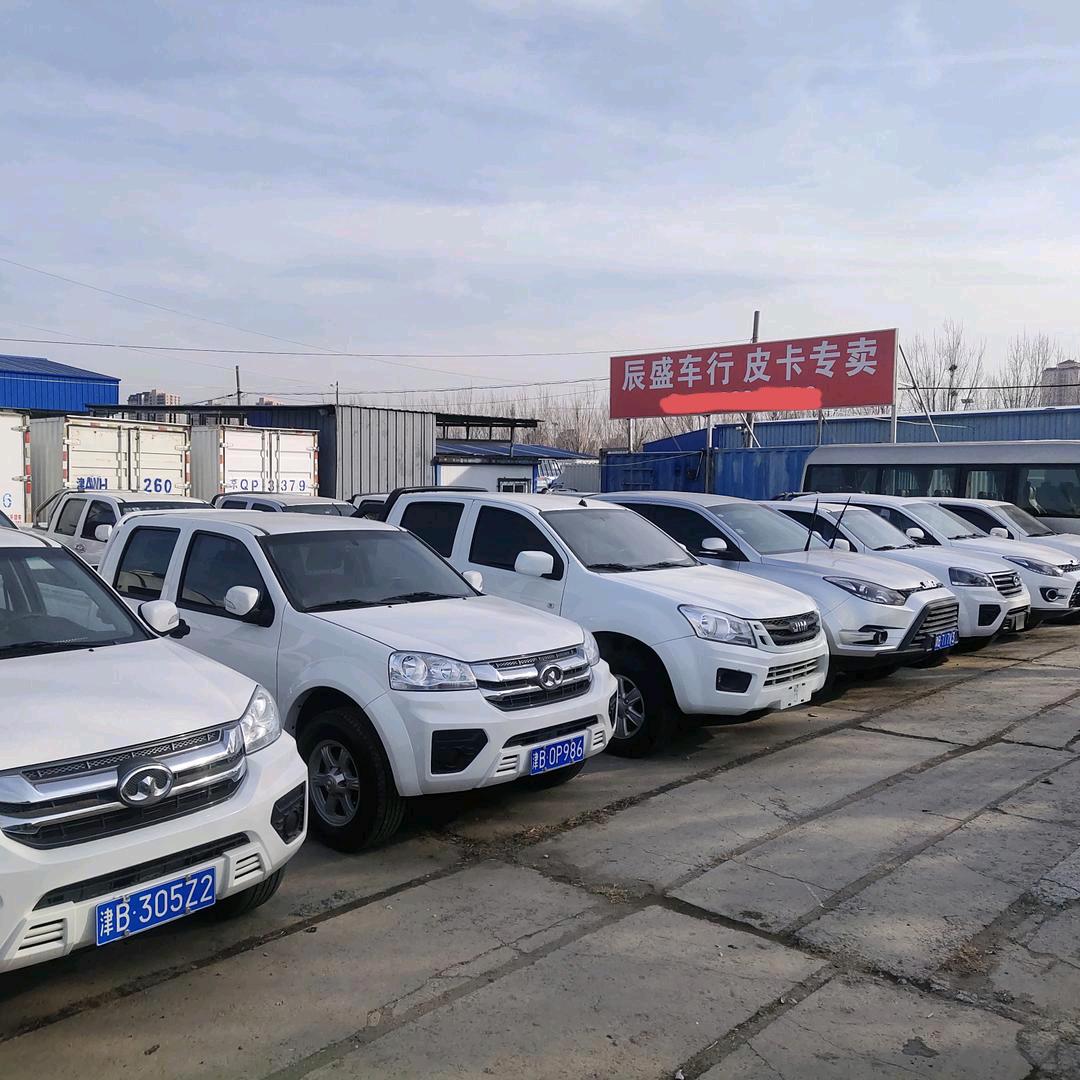 天津臣哥二手皮卡车