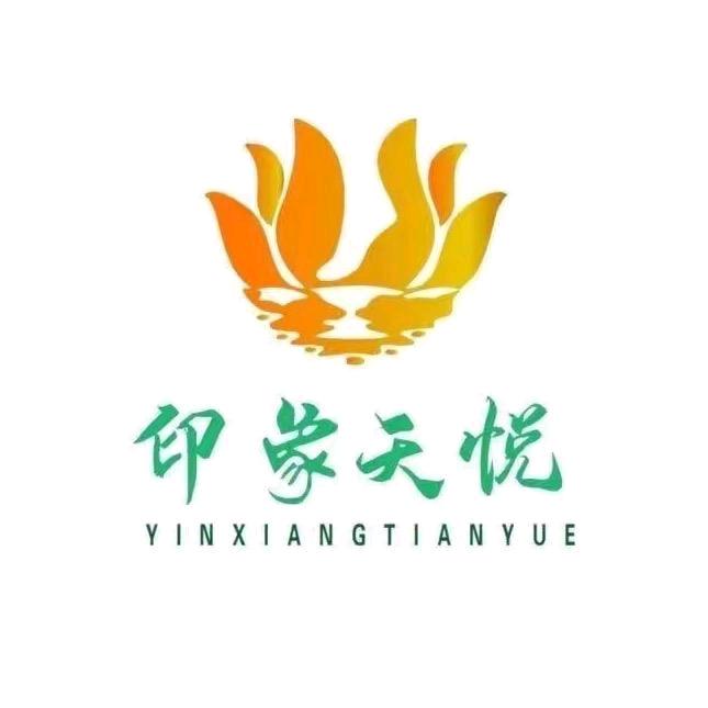 印象天悦国贸店