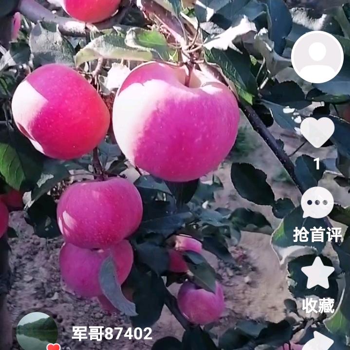 用户9762486072654