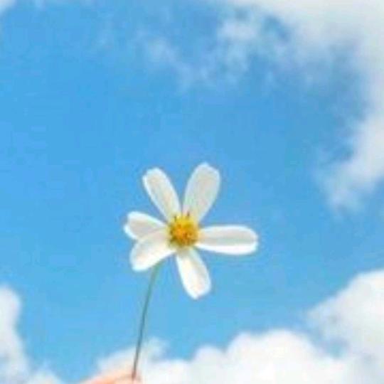 天天货运物流信息部