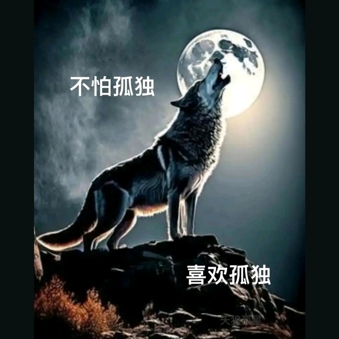 闲不乐