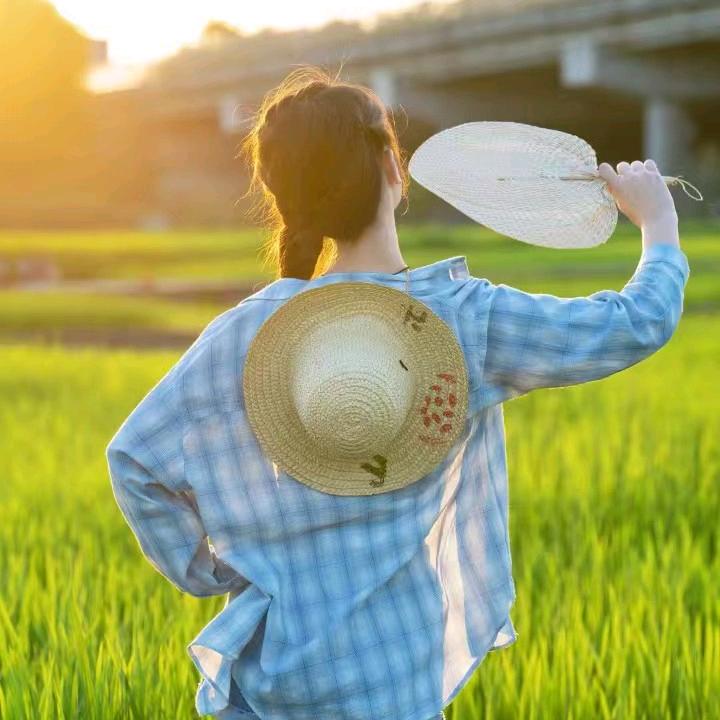 乡间小路
