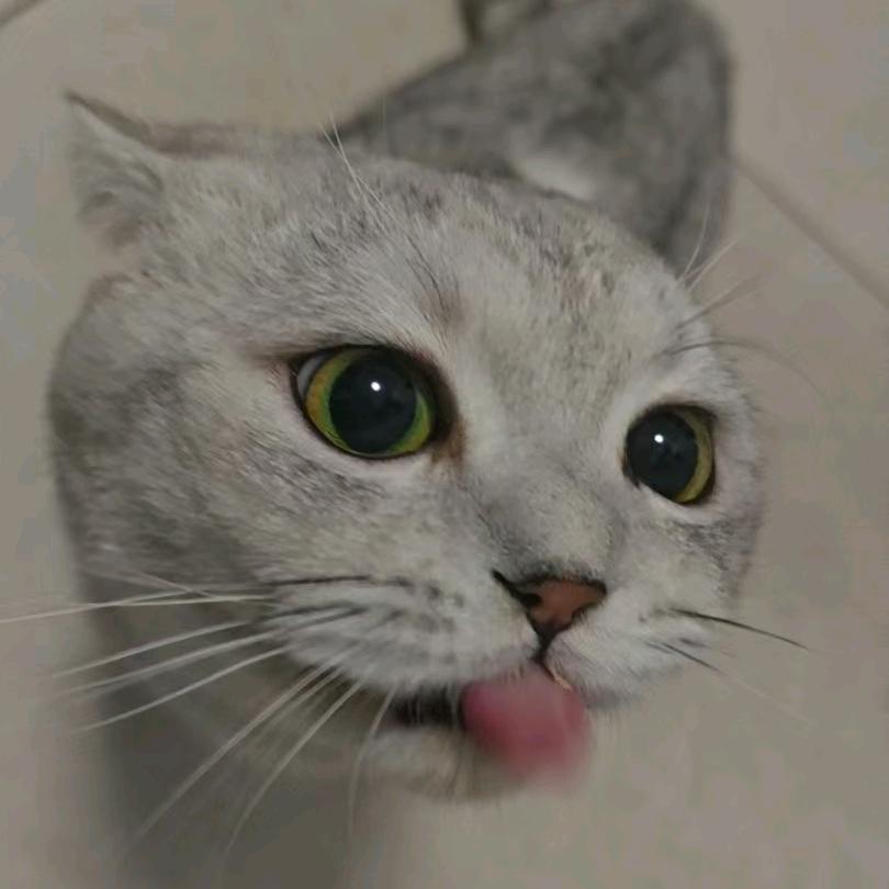 辣条