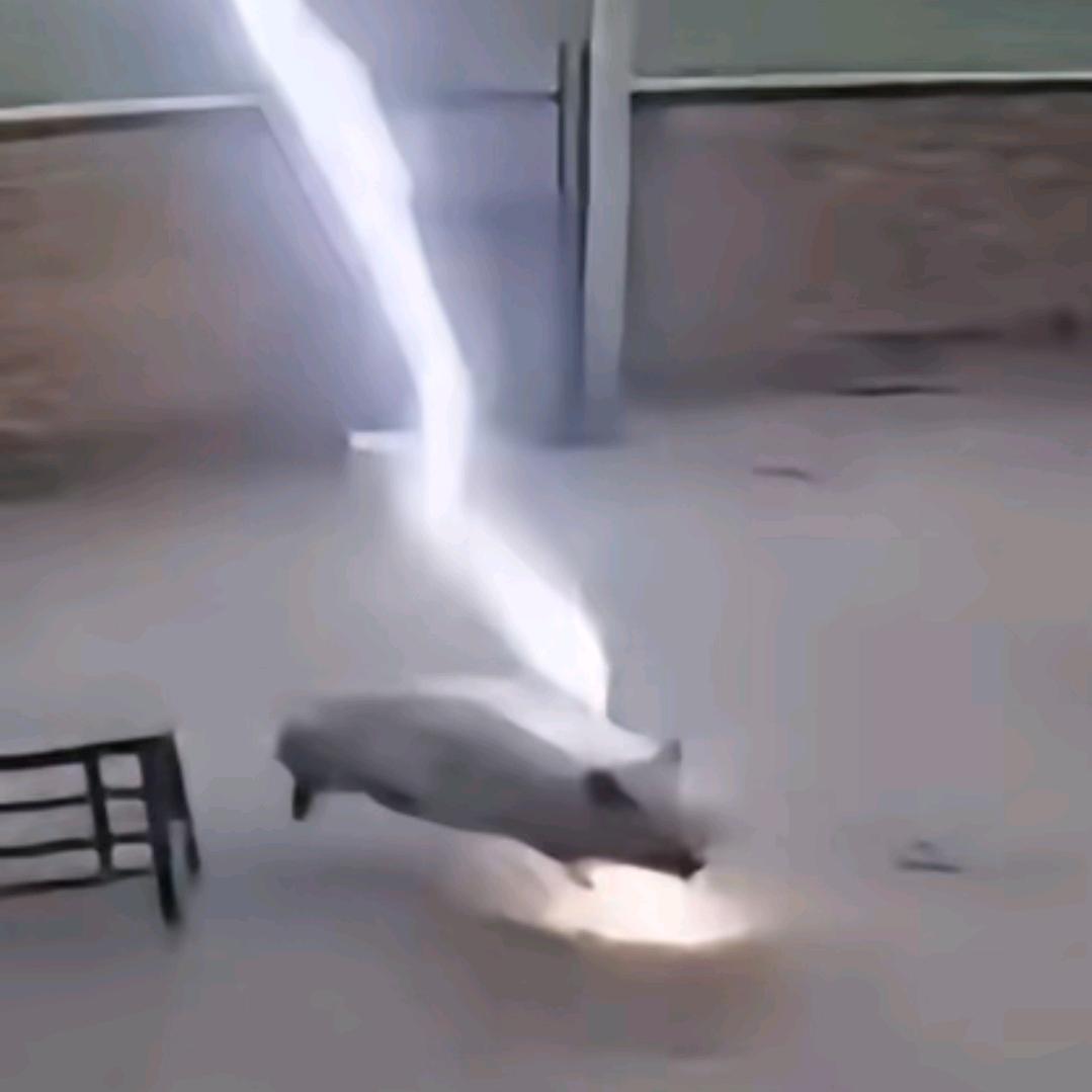 连夜爬上崆峒山