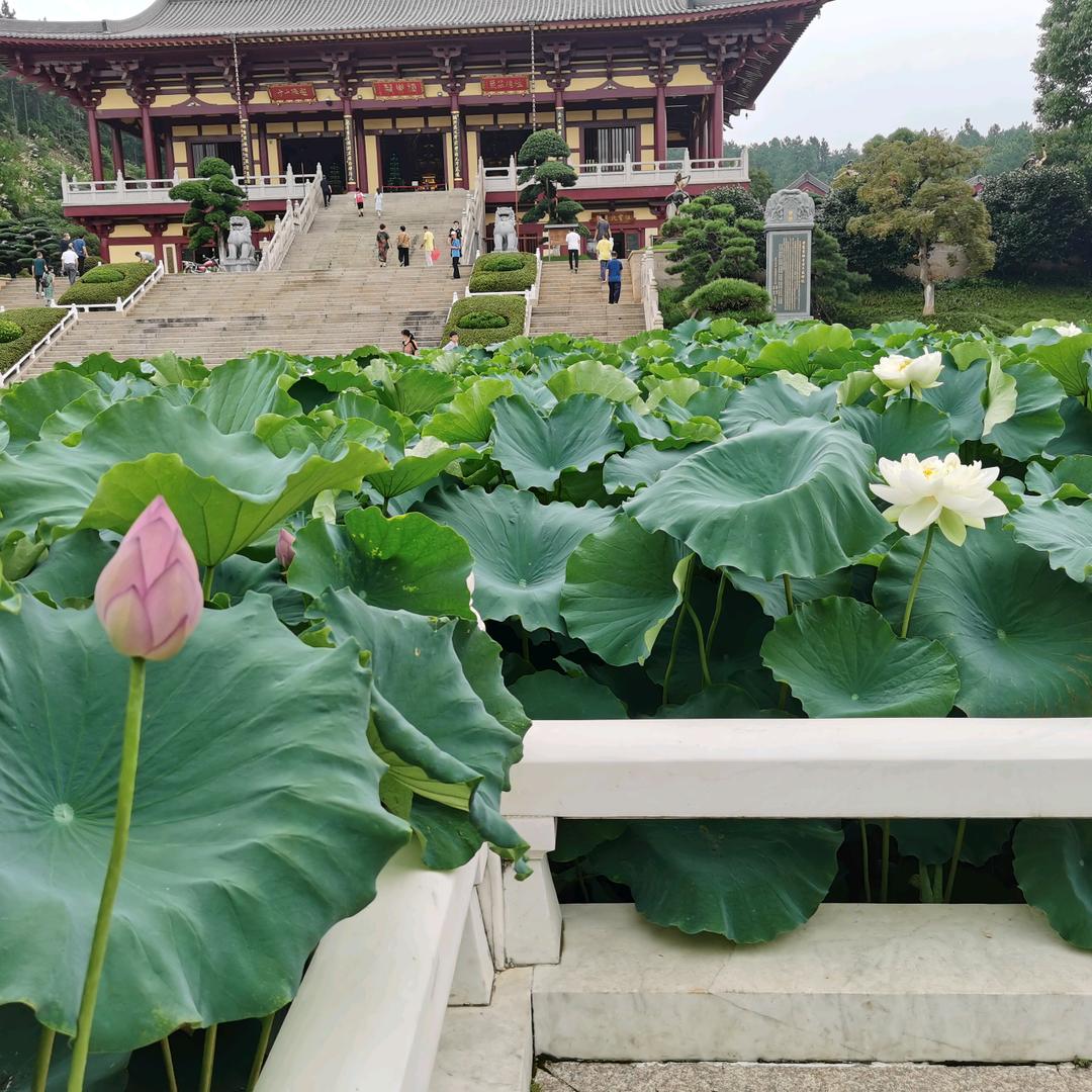 马佰万