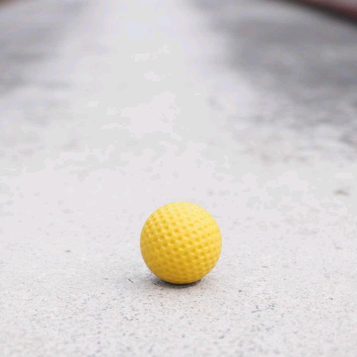阳光灿烂的日子