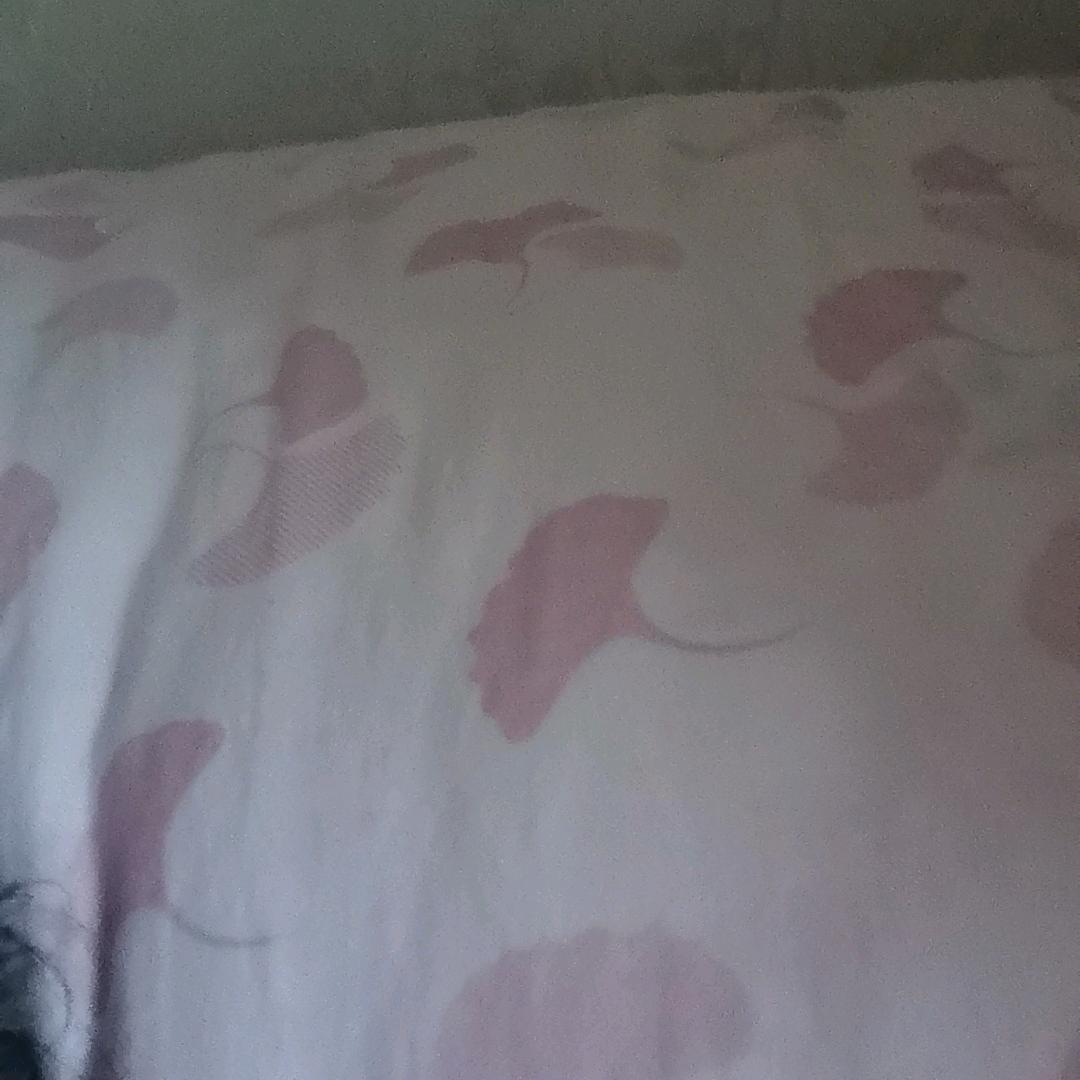 用户1003640844432