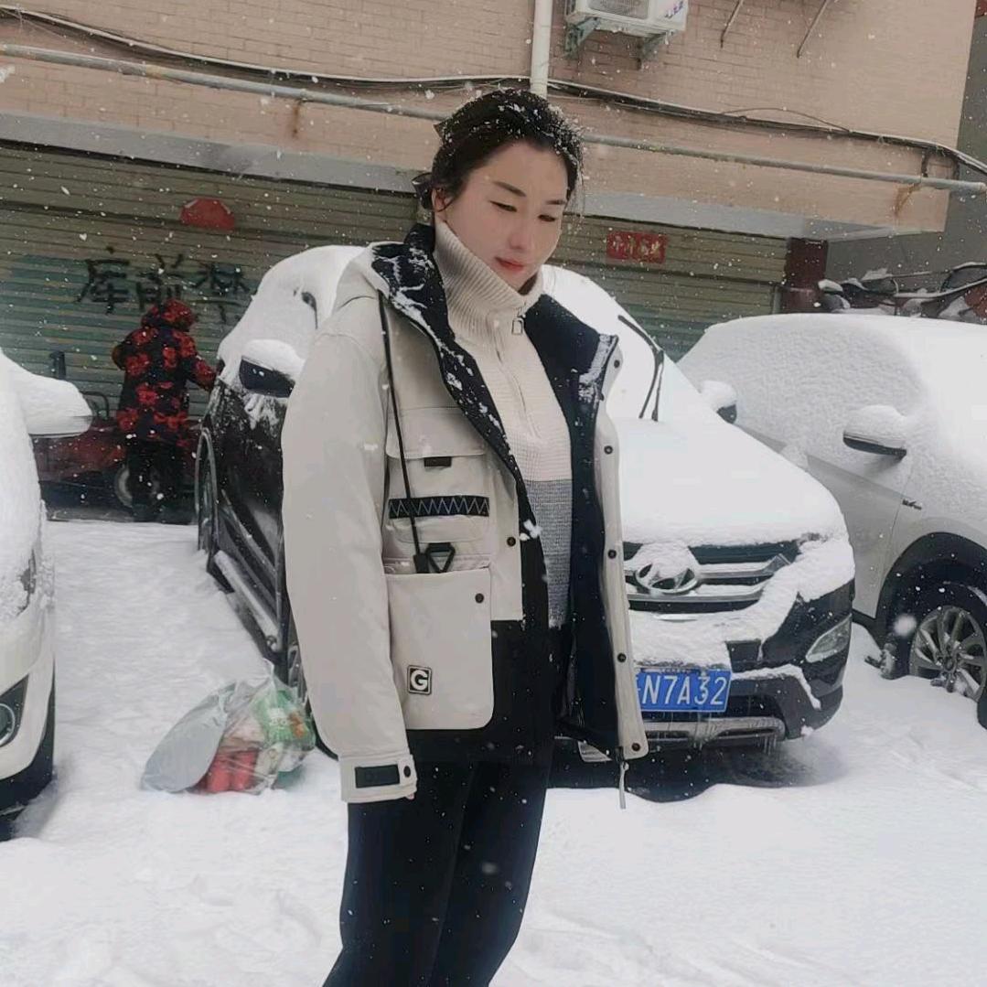 落雪舞无声